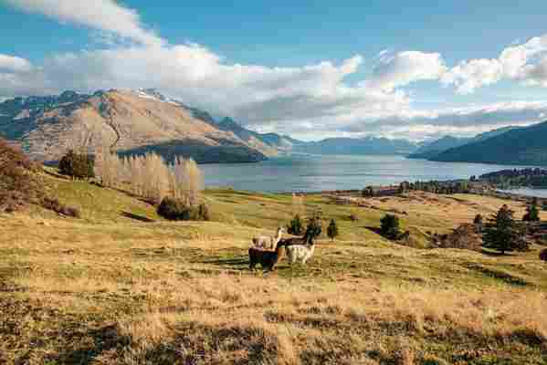 This Lord of the Rings filming location has reopened to the public after 11 years