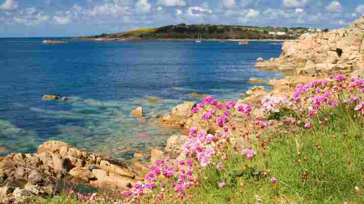 The British shipwreck that changed the world