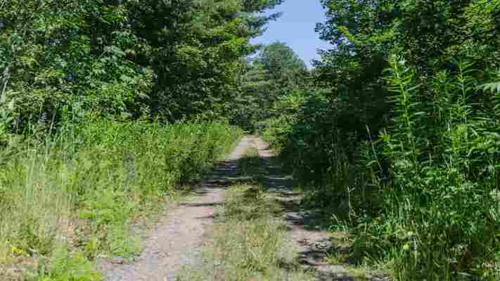 Ontario’s forgotten ghost town